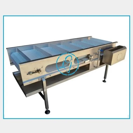 TRANSPORTADORES DE BANDA MODULAR